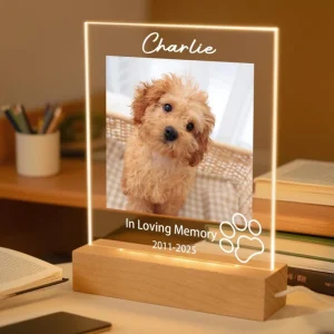 Toujours Là – Plaque Souvenir pour Animal